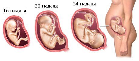 Каким должно быть питание во втором триместре беременности?